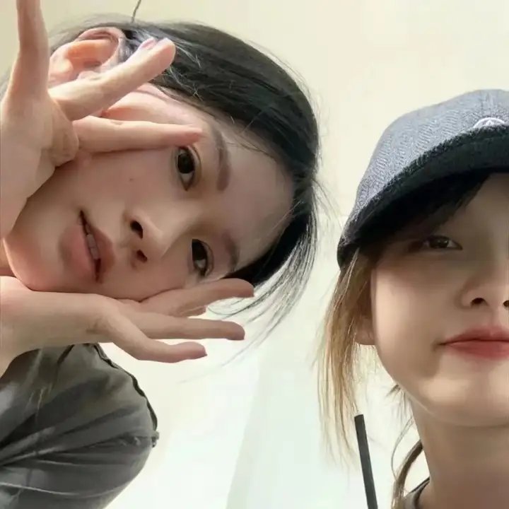 燕子与鹦鹉 海报